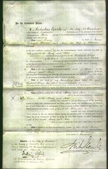 Court of Common Pleas - Mary Horner and Ann Lockett-Original Ancestry