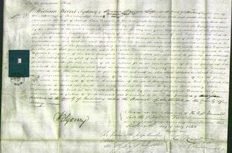 Court of Common Pleas - Margaret Downes-Original Ancestry