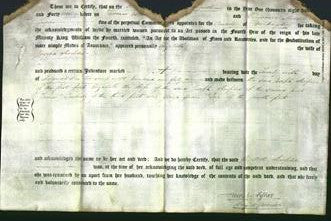 Deed by Married Women - Elizabeth Sharples-Original Ancestry