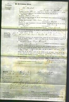 Court of Common Pleas - Eliza Womack-Original Ancestry