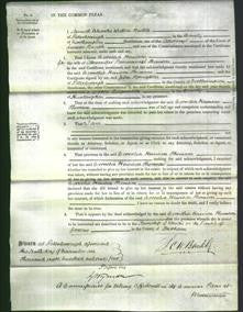 Court of Common Pleas - Cornelia Hewison Thomson-Original Ancestry