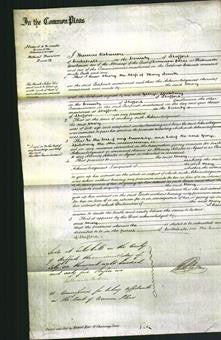 Court of Common Pleas - Mary Smith-Original Ancestry