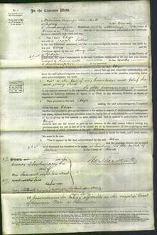 Court of Common Pleas - Eliza Talbot-Original Ancestry