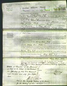 Court of Common Pleas - Mary Ann Twiss