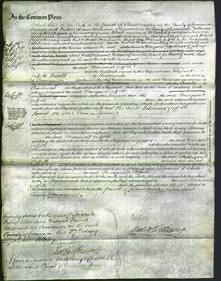 Court of Common Pleas - Margaret Griffith-Original Ancestry