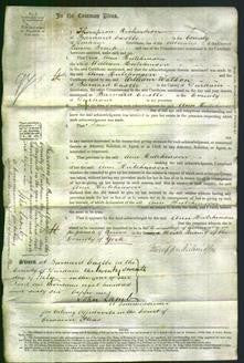 Court of Common Pleas - Ann Hutchinson-Original Ancestry