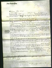 Court of Common Pleas - Mary Blowers-Original Ancestry