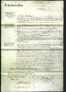 Court of Common Pleas - Margaret Hyde-Original Ancestry