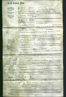 Court of Common Pleas - Hannah Frith-Original Ancestry