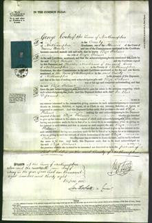 Court of Common Pleas - Eliza Palmer-Original Ancestry