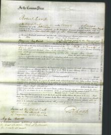 Court of Common Pleas - Ann Pratt Medland-Original Ancestry