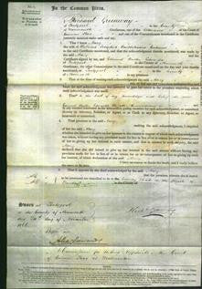 Court of Common Pleas - Mary Cadenne-Original Ancestry