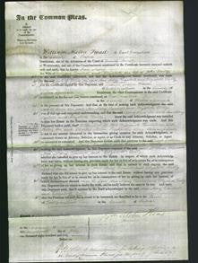 Court of Common Pleas - Ann Mary Doubell and Elizabeth Tully-Original Ancestry