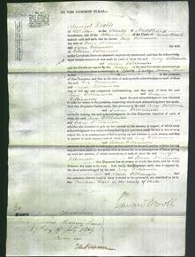 Court of Common Pleas - Lucy Williamson-Original Ancestry