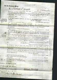 Court of Common Pleas - Harriett Deacon-Original Ancestry