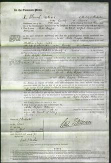 Court of Common Pleas - Hester Rapper Williams-Original Ancestry