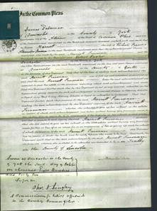 Court of Common Pleas - Harriett Freeman-Original Ancestry