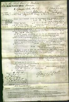 Court of Common Pleas - Elizabeth Kenny-Original Ancestry