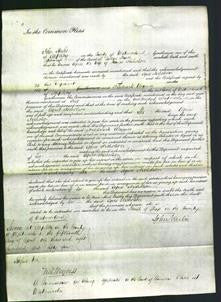 Court of Common Pleas - Agnes Nicholson-Original Ancestry