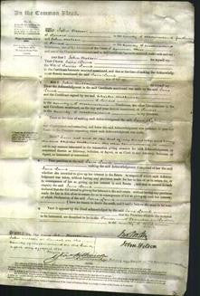 Court of Common Pleas - Jane Lame-Original Ancestry
