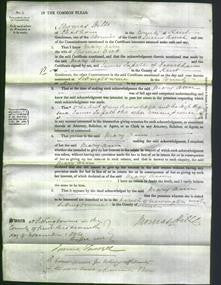 Court of Common Pleas - Mary Ann Brett-Original Ancestry