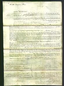 Court of Common Pleas - Anne David-Original Ancestry