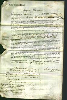 Court of Common Pleas - Sarah Harper-Original Ancestry