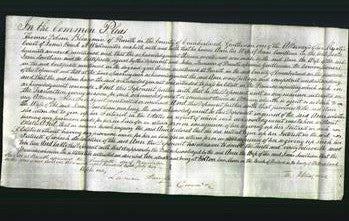 Court of Common Pleas - Anne Lowthian-Original Ancestry