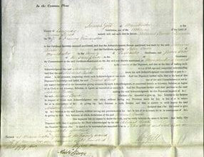 Court of Common Pleas - Meliscent Brooke Winnington-Original Ancestry