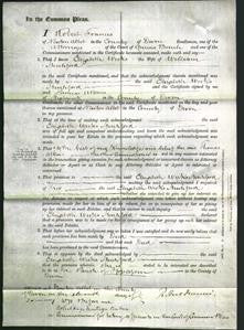 Court of Common Pleas - Elizabeth Weeks Stenliford-Original Ancestry