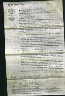 Court of Common Pleas - Martha Rolton-Original Ancestry