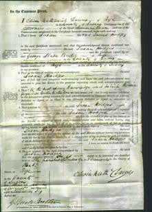 Court of Common Pleas - Susan Hodges-Original Ancestry
