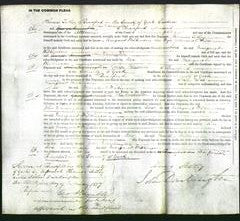 Court of Common Pleas - Margaret Wilkinson-Original Ancestry