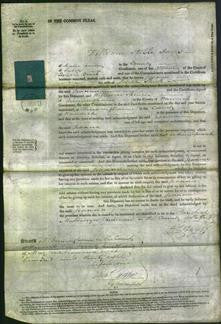 Court of Common Pleas - Joanna Stutt-Original Ancestry