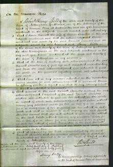 Court of Common Pleas - Harriett Stumbles-Original Ancestry