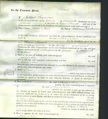Court of Common Pleas - Mary Ann Dickinson-Original Ancestry