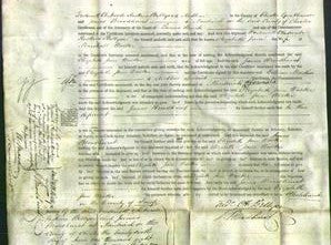Court of Common Pleas - Elizabeth Jane Walker-Original Ancestry