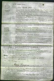 Court of Common Pleas - Elizabeth ireland-Original Ancestry