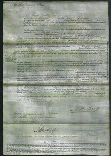 Court of Common Pleas - Catherine Morgan-Original Ancestry