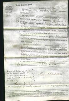 Court of Common Pleas - Mary Bennett-Original Ancestry