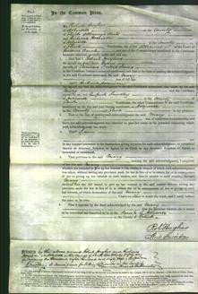 Court of Common Pleas - Mary Jones-Original Ancestry