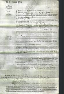 Court of Common Pleas - Isabella Ellen Ellery-Original Ancestry