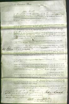 Court of Common Pleas - Mary Way-Original Ancestry