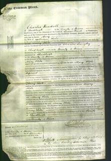 Court of Common Pleas - Mary Hole-Original Ancestry