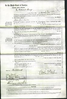 Court of Common Pleas - Julia Mintern-Original Ancestry
