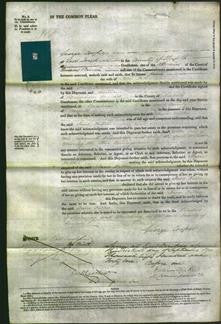 Court of Common Pleas - Jane Filber-Original Ancestry
