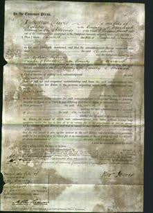 Court of Common Pleas - Elizabeth Browett-Original Ancestry