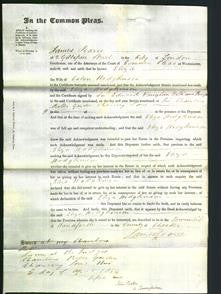 Court of Common Pleas - Eliza Hodgkinson-Original Ancestry