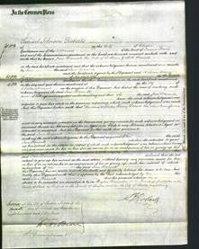 Court of Common Pleas - Jane Hanwell-Original Ancestry