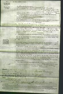 Court of Common Pleas - Jane Hill Walker-Original Ancestry